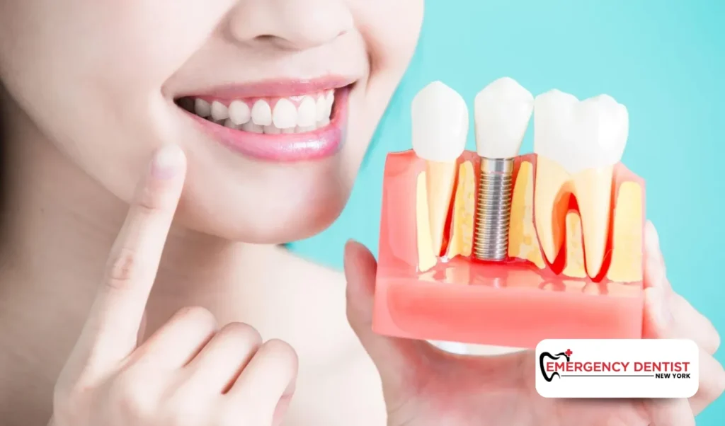 Long-Term Care and Maintenance